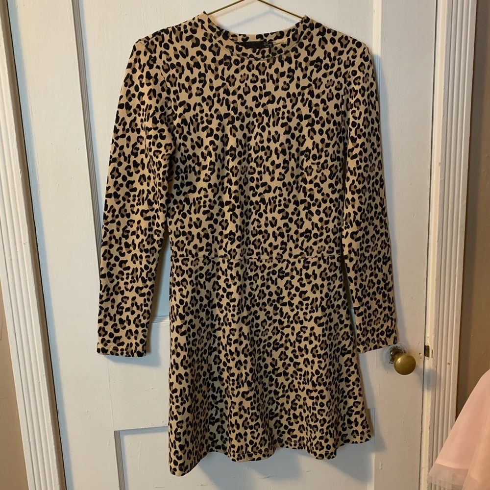 Zara Leopard Dress